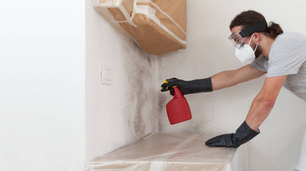 Attic Mold Remediation treatment on roof deck in Dacula